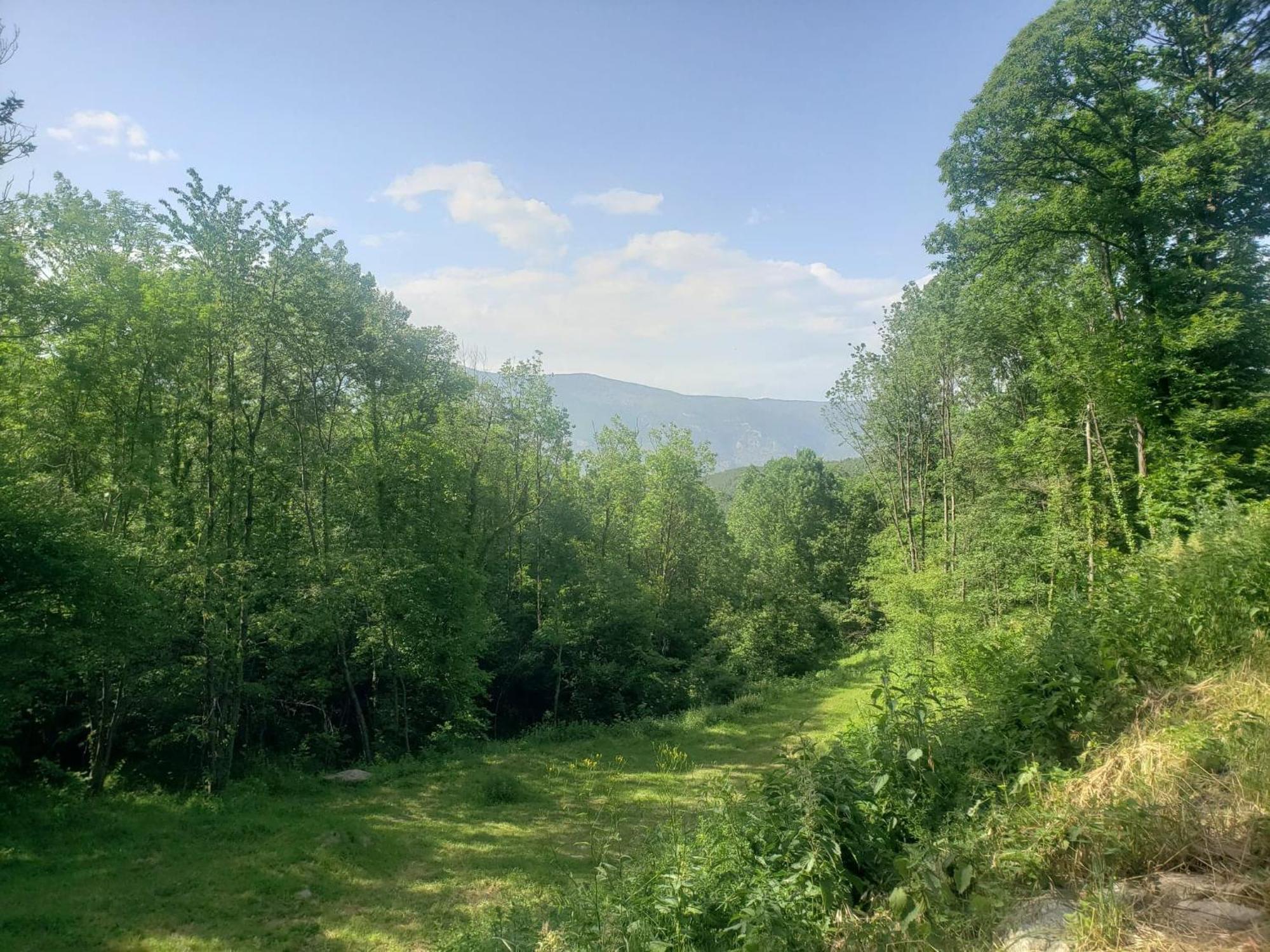 La Forge Villa Escaro Eksteriør billede